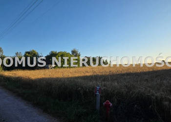 Oferta sprzedaży gruntu 9800m2 Rogów