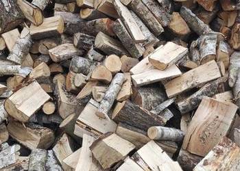 Gałeziówka liściasta