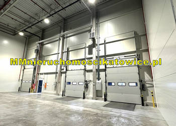 Hala produkcyjna magazyn do wynajęcia śląskie Katowice doki bramy poziom 0