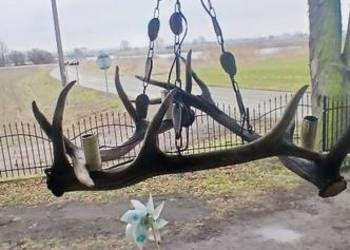 Żyrandol z poroża jelenia