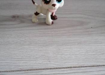 Littlest Pet Shop