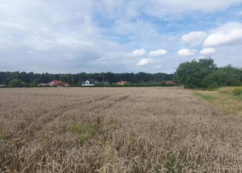 Piękna działka budowlana blisko lasu- 17ar-Świdnik