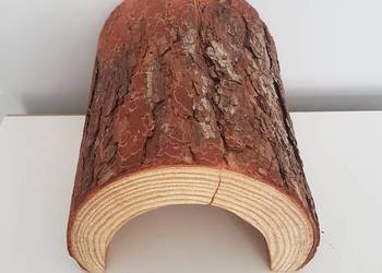 Drewniany tunel dla chomika gryzoni gadów naturalny uszkodzony