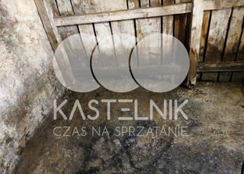 Sprzątanie po zalaniach, usuwanie szkód Gubin - Kastelnik
