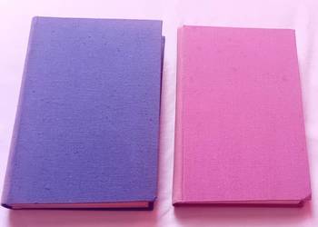 Juliusz Verne. Dzieci kapitana Granta. Tomy 1 i 2. !952 r. Wydanie II. Juliusz Verne. Dzieci kapitana Granta. Tomy 1 i 2. !952 r. Wydanie II.