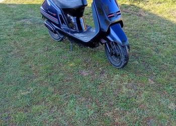 Pegot sv50 junior Zabytek