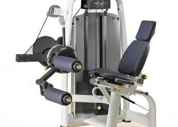 Maszyna na mięśnie dwugłowe uda Leg Curl Technogym Selection