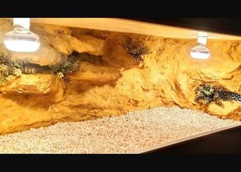 Okazja terrarium dla agamy brodatej gekona lamparciego