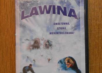 Paul Ziller - Lawina