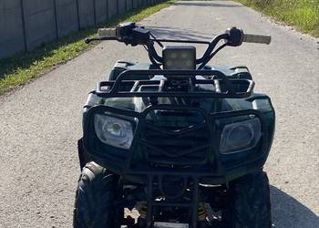 Quad kingway 110