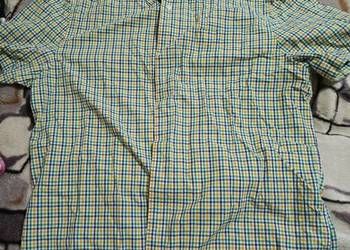 Koszula męskie krótki