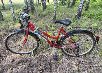 Rower damski na 26 calowych kolach
