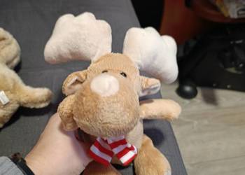 renifer Kinder kolejny