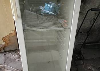 Witryna chłodnicza przeszklona, lodówka szklane drzwi, Polar