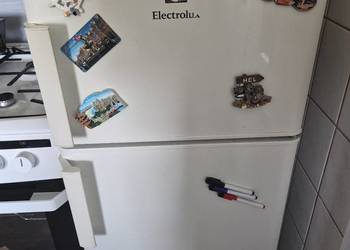 Lodówka z zamrażalnikiem Electrolux EJ1800AOW | Sprawna, Czysta