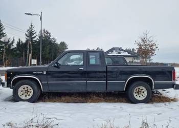 Dodge Dakota 3,9b 1991 rok- klasyka motoryzacji - możliwa zamiana na tańszy