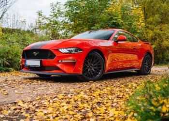 Ford Mustang GT V8 5.0