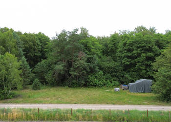 Do sprzedaży grunt 6000m2 Wola Uhruska