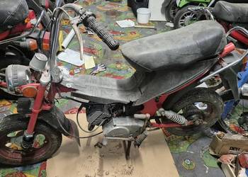 Motorynka stella zarejestrowana