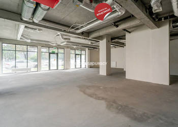 Lokal Kraków 343m2