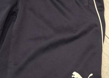 Krótkie spodenki sportowe/treningowe marki Puma Dry Cell z siatką r.M