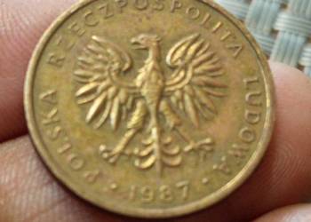 sprzedam 5 zl 1987 r destrukt wybita jedna strona