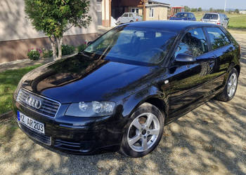 Audi A3 3-drzwiowe 1.6 102KM BENZ alu klimatronik ładna z Niemiec dobry st…