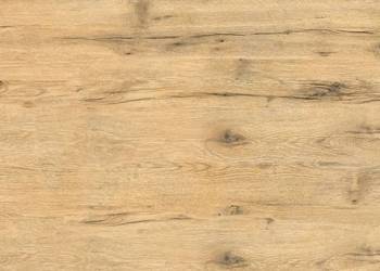 Purus pine 60x120