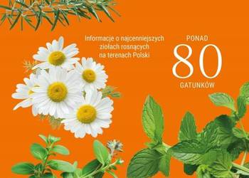 Encyklopedia Zioła - Fiedoruk Ł. Mazik M. Pastwa M.