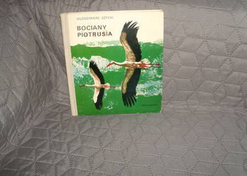 Bociany Piotrusia Włodzimierz Gżycki
