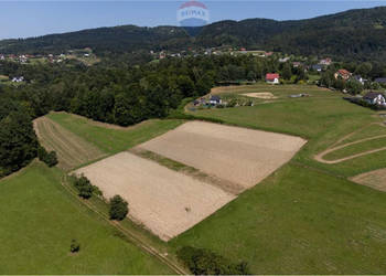 Prywatny las 3331 m2 - Twoja przestrzeń w naturze
