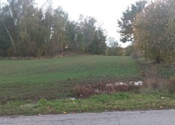 Sprzedam działkę budowlaną z laskiem sosnowym – Godów (Zamazurze)6000M2