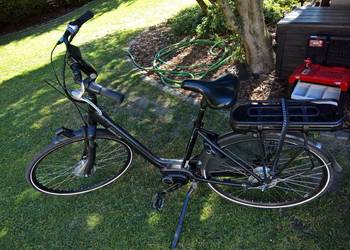 Rower elektryczny Batavus Wayz E-go