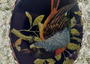 VINTAGE BROSZKA ZIMORODEK KINGFISHER CELULOID LATA 50/60