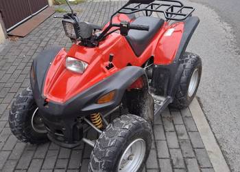 QUAD AEON COBRA 180