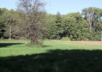 Działka budowlana pod lasem w malowniczej okolicy