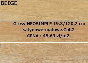 gres 19,3/120,2 neosimple rektyfkowany satynowy-matowy cerr