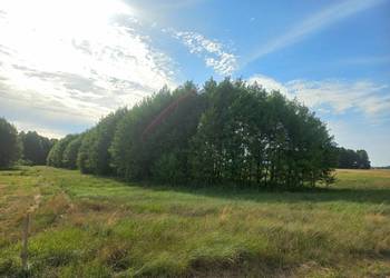 działka rolno-leśna 0.5ha