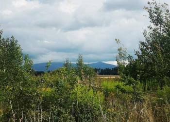 Oferta sprzedaży gruntu Kromnów 1556m2