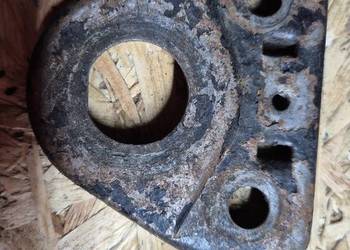 Komar sztywniak półka