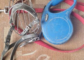 sprzedam smycze oraz kaganiec dla psa