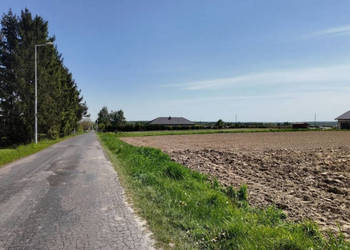 Oferta sprzedaży działki 4486m Charlęż