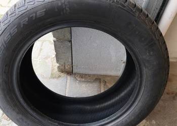 Apollo Alnac 4G All Season 205/55 R16 94 H XL