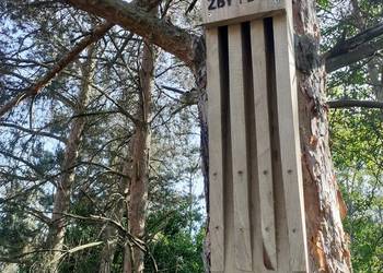 Dębowa, szczelinowa budka dla nietoperzy, polecana przez OTON