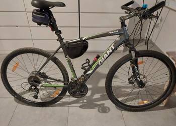 Rower Giant Roam 2 disc, duża rama