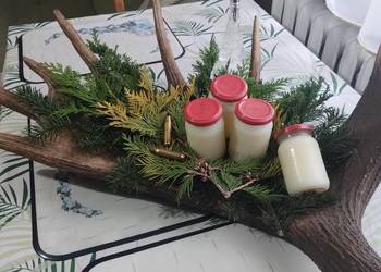 smalec/sadło z borsuka