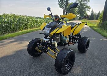 Quad Bashan 200/250cc Duża Rama Ciecz 4+1r Super Stan Zarejestrowany!