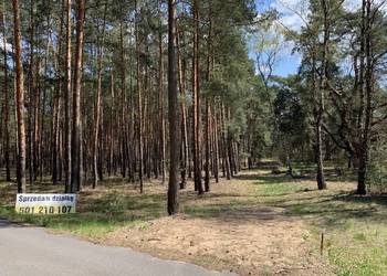 Las, działka 14000m Nowe Polesie gm. Leoncin