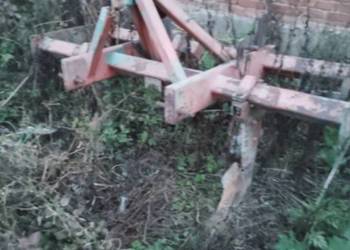 Bezorkowiec Bezorkowiec