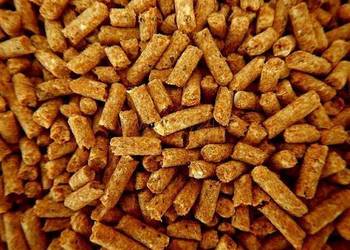 Pellet ENplus A1 certyfikat hurt 100% sosna bez opóźnień dostawa pod adres
